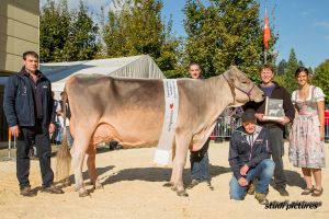 Grandchampion Bigboy Polly von Franz Felder Marbach mit Richter Stefan Hodel